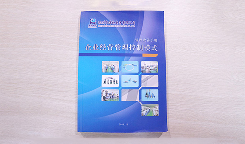 企業(yè)經營管理控制模式